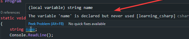 /blog/csharp/overview/unused_variable.png